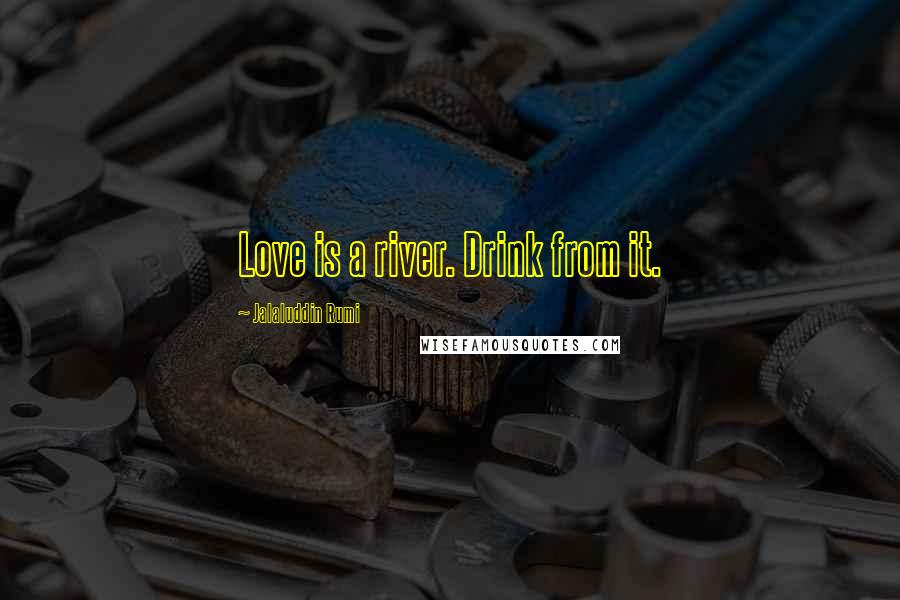 Jalaluddin Rumi Quotes: Love is a river. Drink from it.
