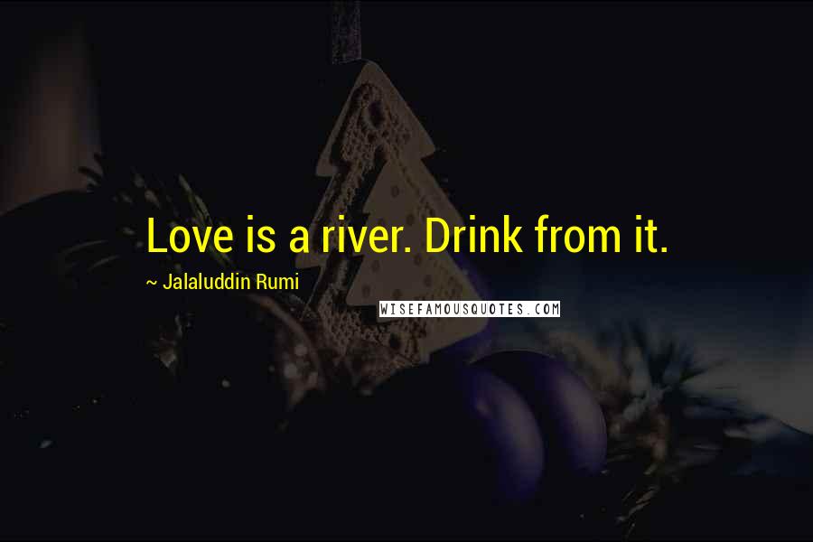 Jalaluddin Rumi Quotes: Love is a river. Drink from it.