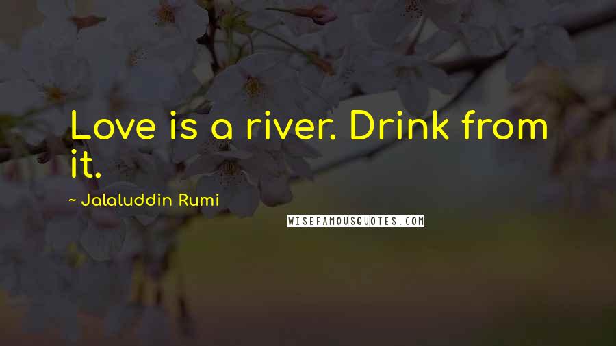 Jalaluddin Rumi Quotes: Love is a river. Drink from it.