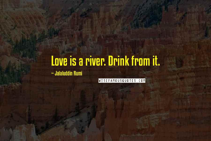 Jalaluddin Rumi Quotes: Love is a river. Drink from it.
