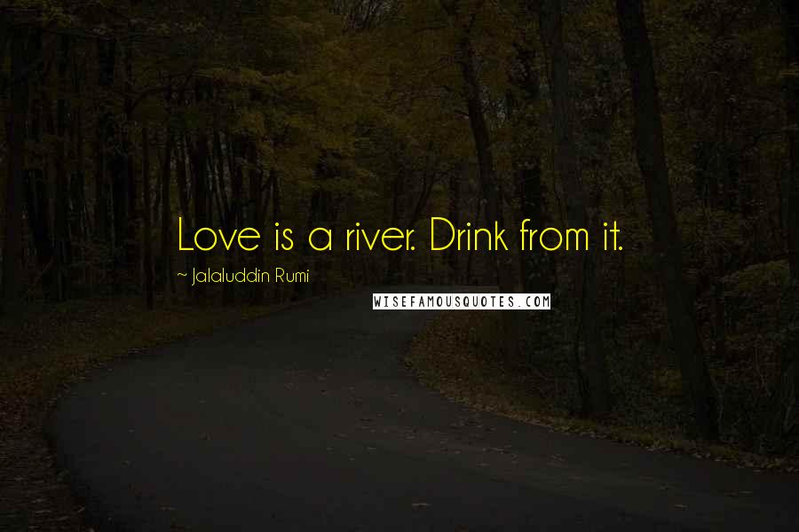 Jalaluddin Rumi Quotes: Love is a river. Drink from it.
