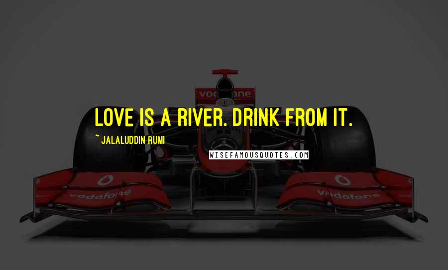 Jalaluddin Rumi Quotes: Love is a river. Drink from it.