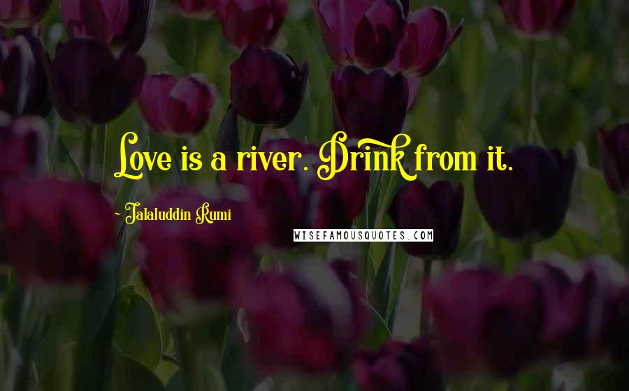 Jalaluddin Rumi Quotes: Love is a river. Drink from it.