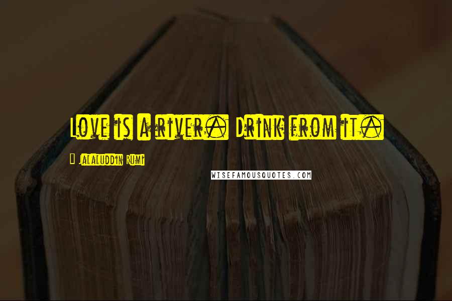 Jalaluddin Rumi Quotes: Love is a river. Drink from it.