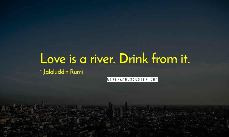 Jalaluddin Rumi Quotes: Love is a river. Drink from it.