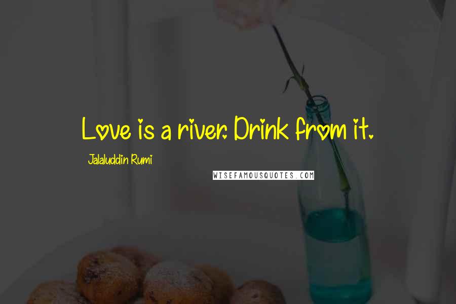 Jalaluddin Rumi Quotes: Love is a river. Drink from it.
