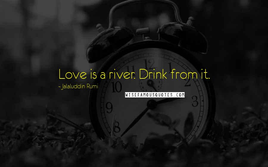Jalaluddin Rumi Quotes: Love is a river. Drink from it.