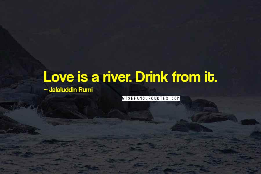 Jalaluddin Rumi Quotes: Love is a river. Drink from it.