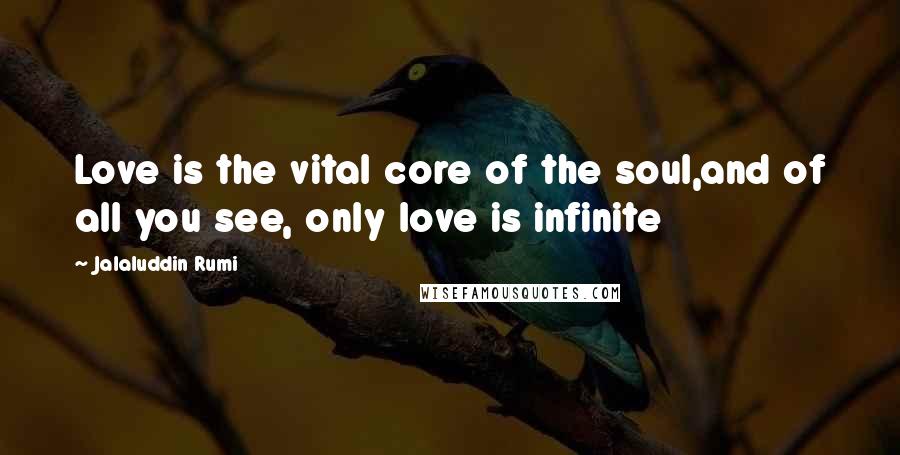 Jalaluddin Rumi Quotes: Love is the vital core of the soul,and of all you see, only love is infinite