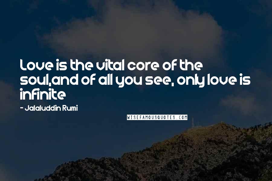 Jalaluddin Rumi Quotes: Love is the vital core of the soul,and of all you see, only love is infinite