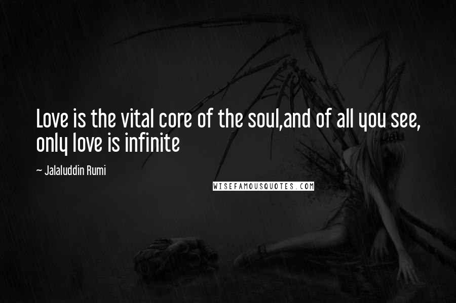 Jalaluddin Rumi Quotes: Love is the vital core of the soul,and of all you see, only love is infinite