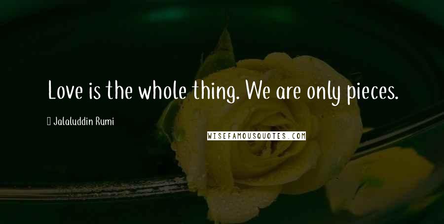 Jalaluddin Rumi Quotes: Love is the whole thing. We are only pieces.