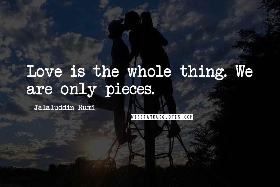 Jalaluddin Rumi Quotes: Love is the whole thing. We are only pieces.