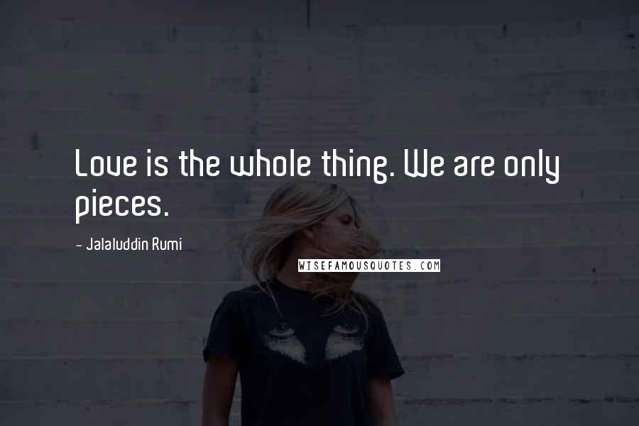 Jalaluddin Rumi Quotes: Love is the whole thing. We are only pieces.