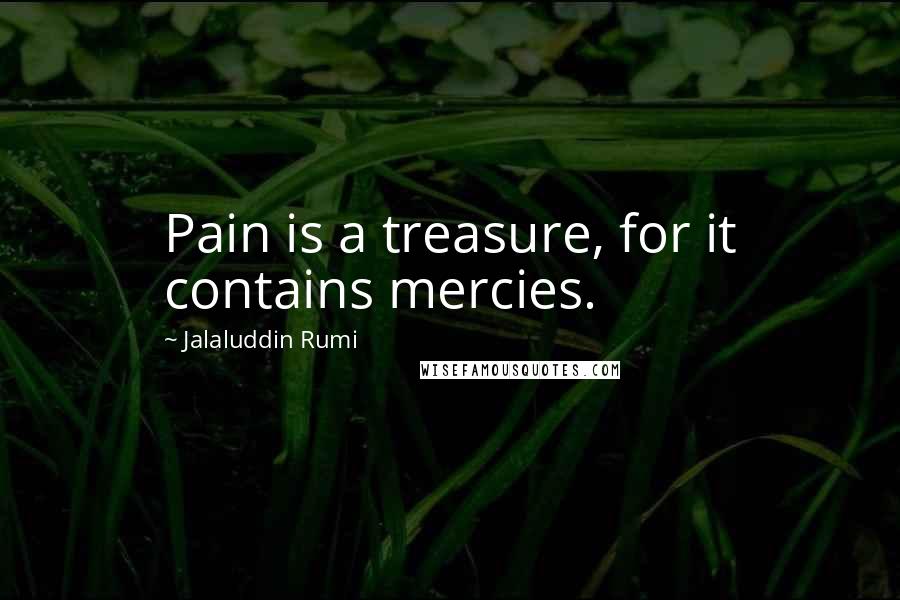 Jalaluddin Rumi Quotes: Pain is a treasure, for it contains mercies.