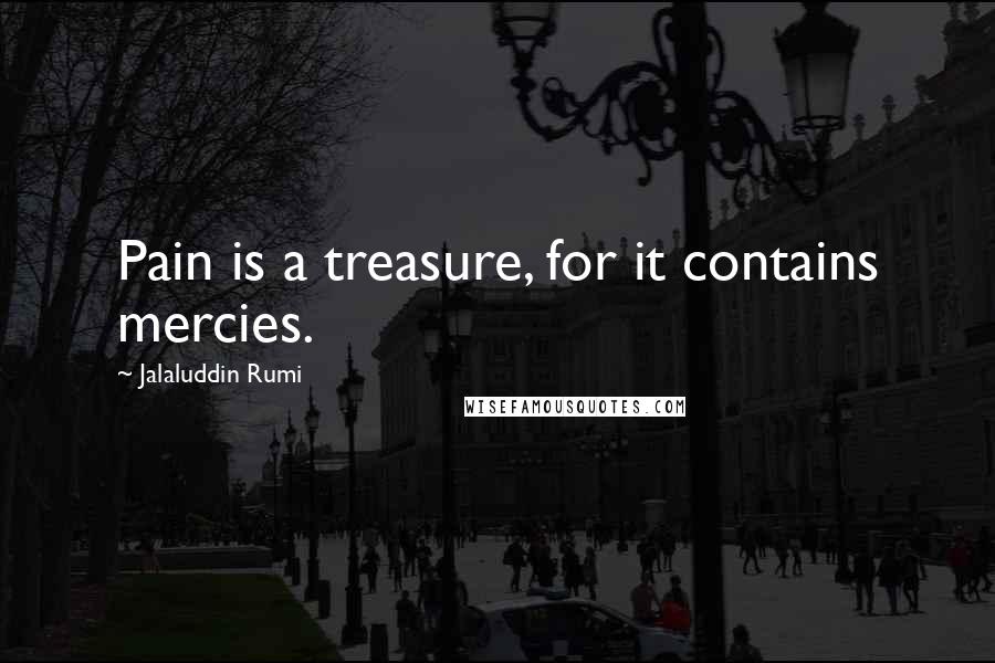 Jalaluddin Rumi Quotes: Pain is a treasure, for it contains mercies.