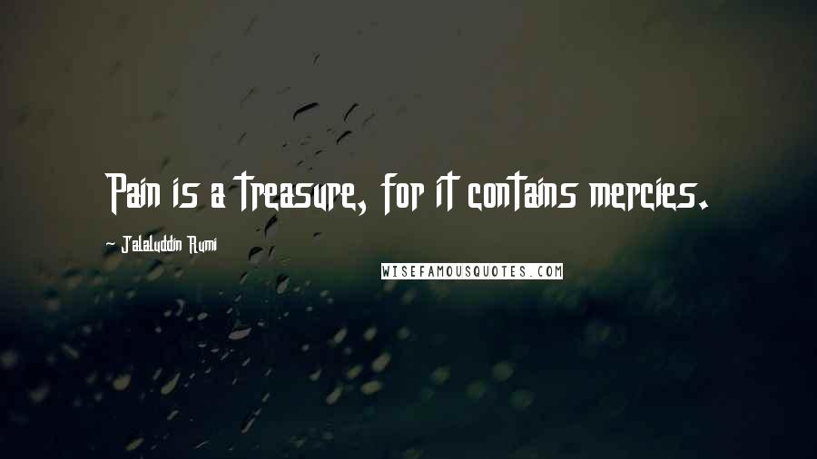 Jalaluddin Rumi Quotes: Pain is a treasure, for it contains mercies.