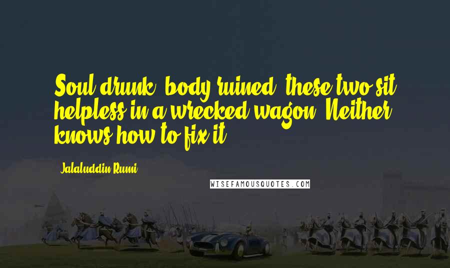 Jalaluddin Rumi Quotes: Soul drunk, body ruined, these two sit helpless in a wrecked wagon. Neither knows how to fix it.