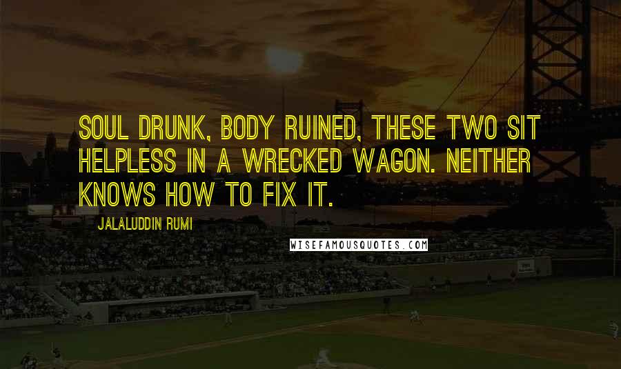 Jalaluddin Rumi Quotes: Soul drunk, body ruined, these two sit helpless in a wrecked wagon. Neither knows how to fix it.