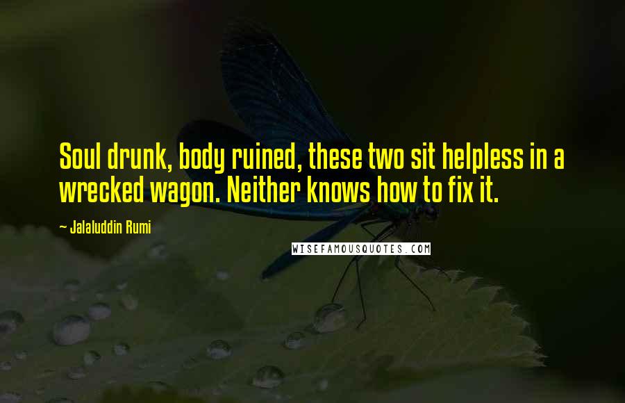 Jalaluddin Rumi Quotes: Soul drunk, body ruined, these two sit helpless in a wrecked wagon. Neither knows how to fix it.