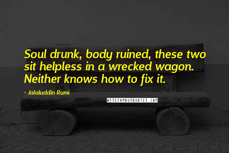 Jalaluddin Rumi Quotes: Soul drunk, body ruined, these two sit helpless in a wrecked wagon. Neither knows how to fix it.