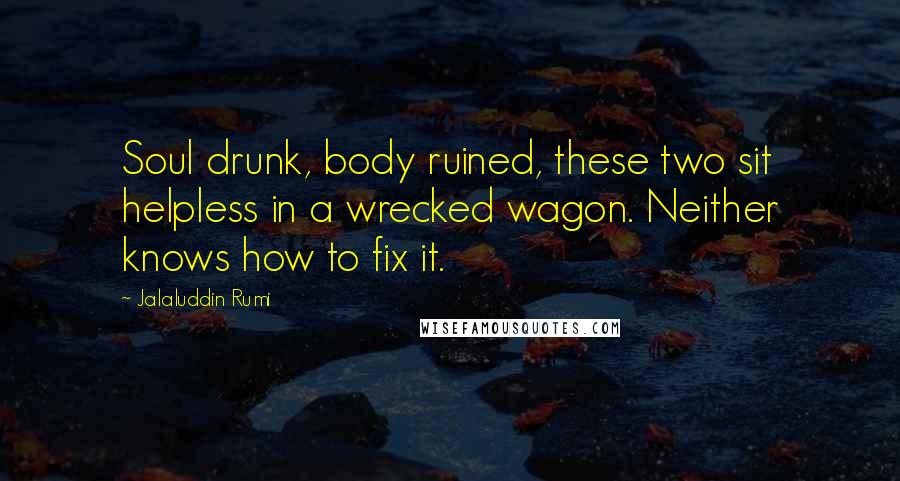 Jalaluddin Rumi Quotes: Soul drunk, body ruined, these two sit helpless in a wrecked wagon. Neither knows how to fix it.