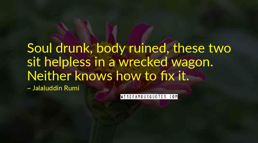 Jalaluddin Rumi Quotes: Soul drunk, body ruined, these two sit helpless in a wrecked wagon. Neither knows how to fix it.