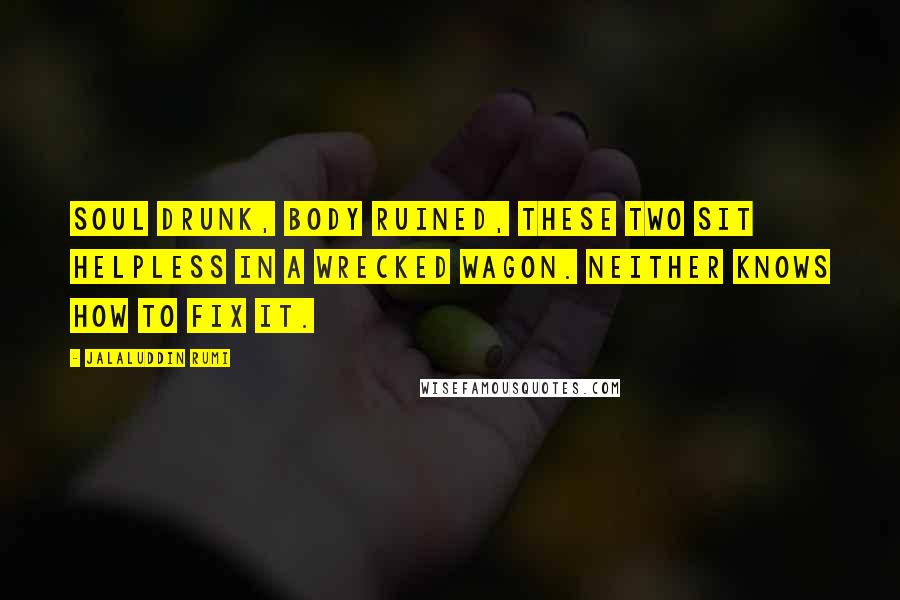 Jalaluddin Rumi Quotes: Soul drunk, body ruined, these two sit helpless in a wrecked wagon. Neither knows how to fix it.