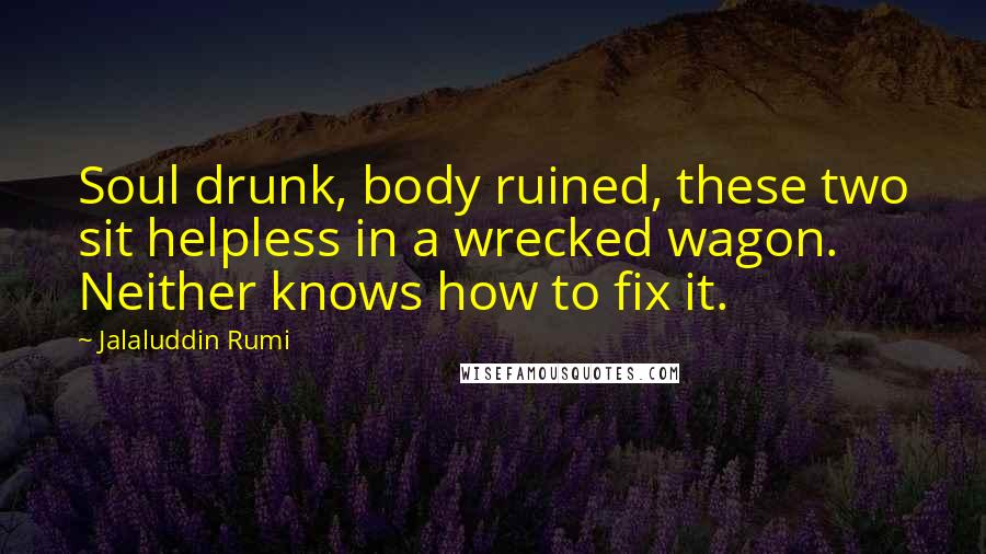 Jalaluddin Rumi Quotes: Soul drunk, body ruined, these two sit helpless in a wrecked wagon. Neither knows how to fix it.