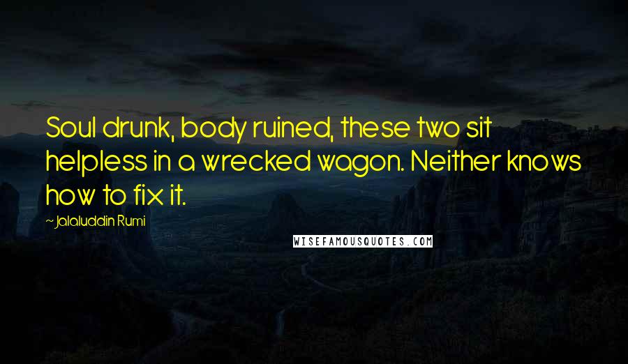 Jalaluddin Rumi Quotes: Soul drunk, body ruined, these two sit helpless in a wrecked wagon. Neither knows how to fix it.