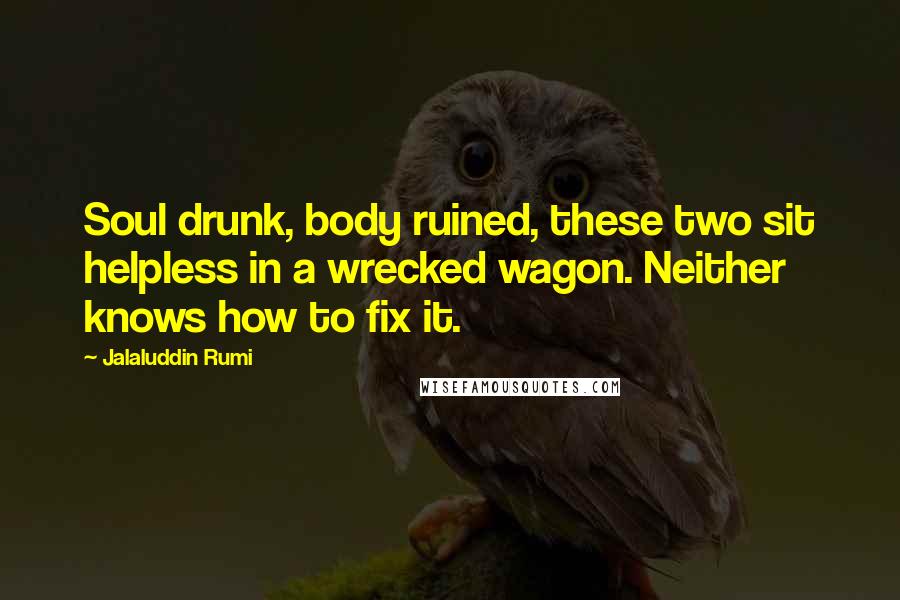 Jalaluddin Rumi Quotes: Soul drunk, body ruined, these two sit helpless in a wrecked wagon. Neither knows how to fix it.