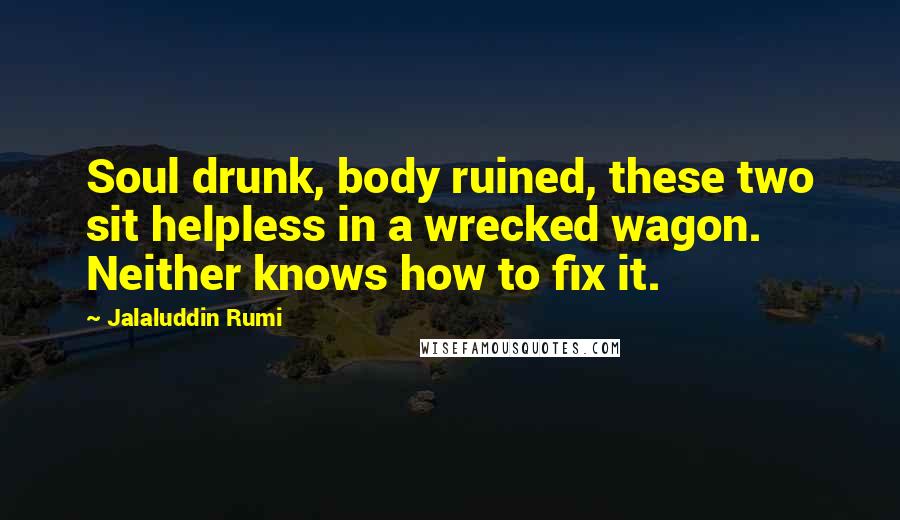 Jalaluddin Rumi Quotes: Soul drunk, body ruined, these two sit helpless in a wrecked wagon. Neither knows how to fix it.