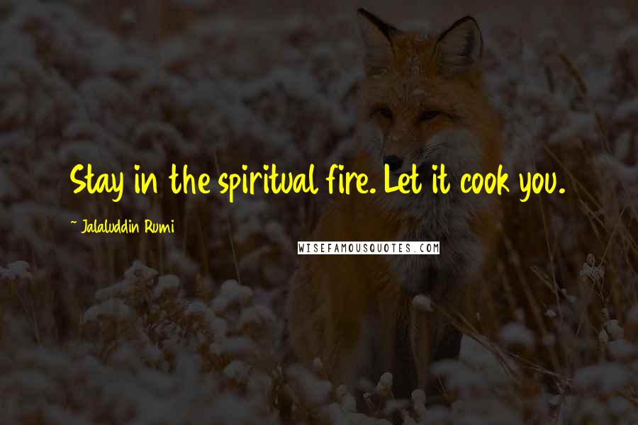 Jalaluddin Rumi Quotes: Stay in the spiritual fire. Let it cook you.