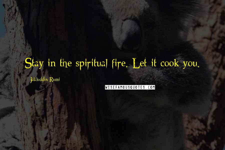 Jalaluddin Rumi Quotes: Stay in the spiritual fire. Let it cook you.