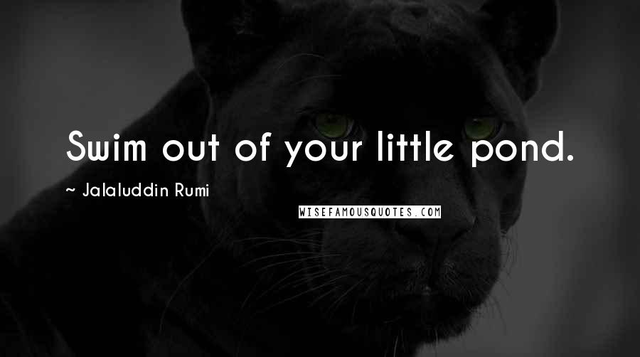 Jalaluddin Rumi Quotes: Swim out of your little pond.