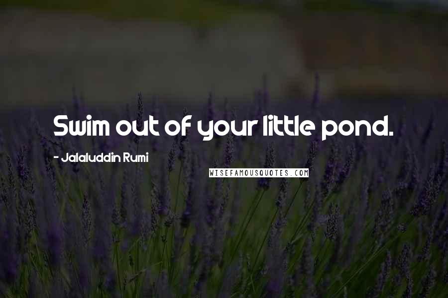 Jalaluddin Rumi Quotes: Swim out of your little pond.