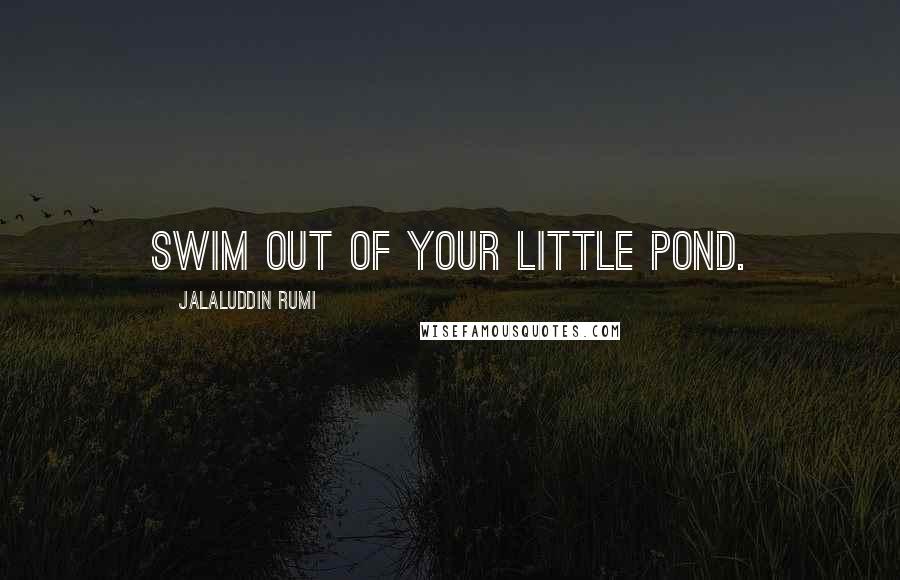 Jalaluddin Rumi Quotes: Swim out of your little pond.