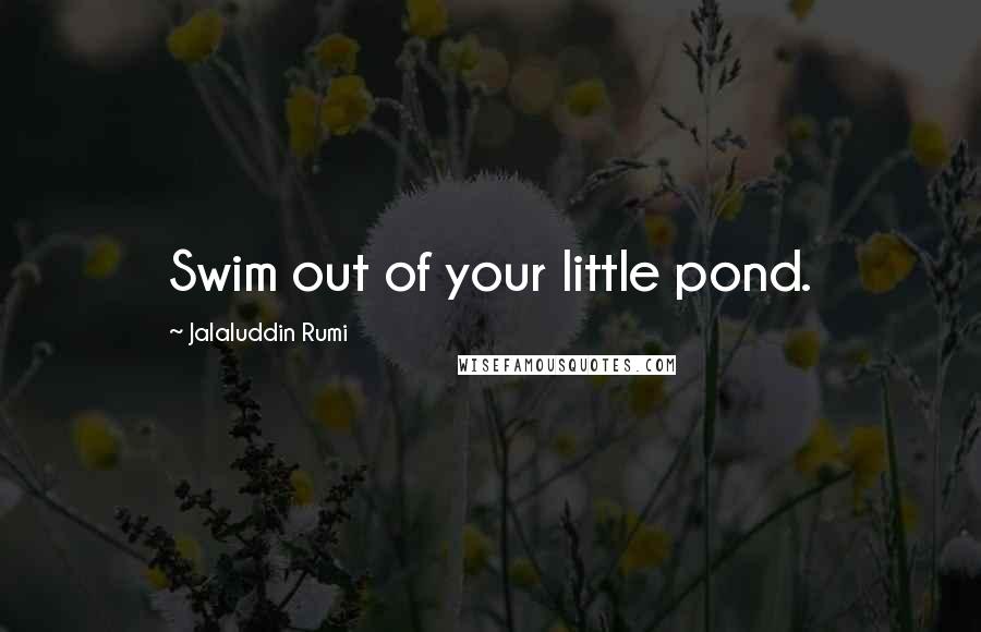 Jalaluddin Rumi Quotes: Swim out of your little pond.