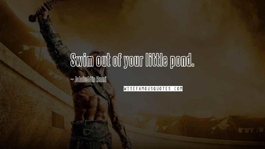 Jalaluddin Rumi Quotes: Swim out of your little pond.