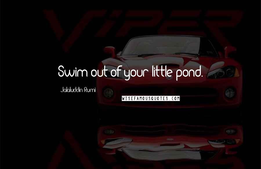 Jalaluddin Rumi Quotes: Swim out of your little pond.