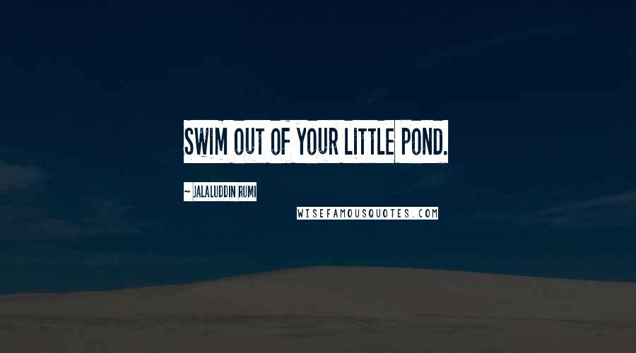 Jalaluddin Rumi Quotes: Swim out of your little pond.
