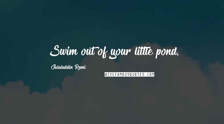 Jalaluddin Rumi Quotes: Swim out of your little pond.