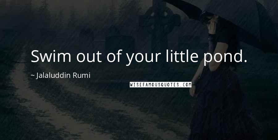 Jalaluddin Rumi Quotes: Swim out of your little pond.