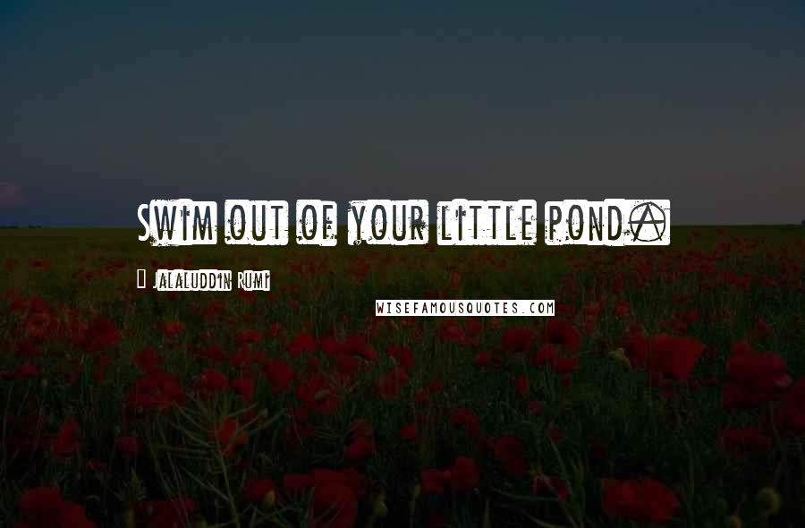 Jalaluddin Rumi Quotes: Swim out of your little pond.
