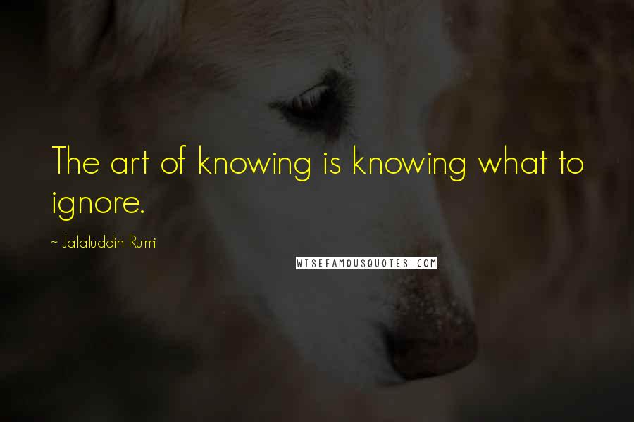 Jalaluddin Rumi Quotes: The art of knowing is knowing what to ignore.