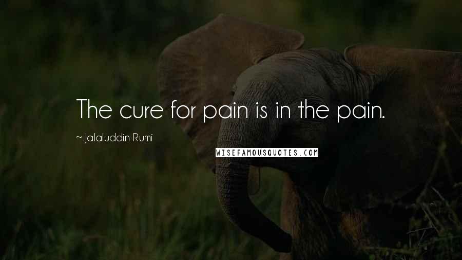 Jalaluddin Rumi Quotes: The cure for pain is in the pain.