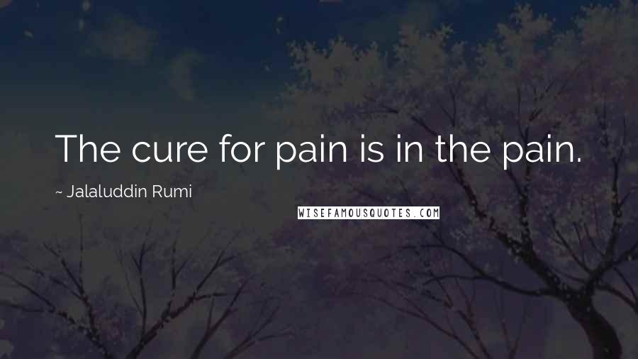 Jalaluddin Rumi Quotes: The cure for pain is in the pain.