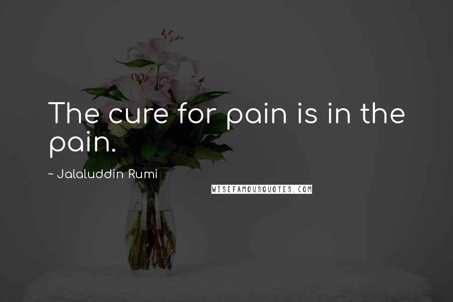 Jalaluddin Rumi Quotes: The cure for pain is in the pain.
