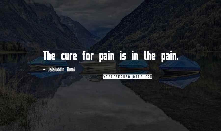 Jalaluddin Rumi Quotes: The cure for pain is in the pain.