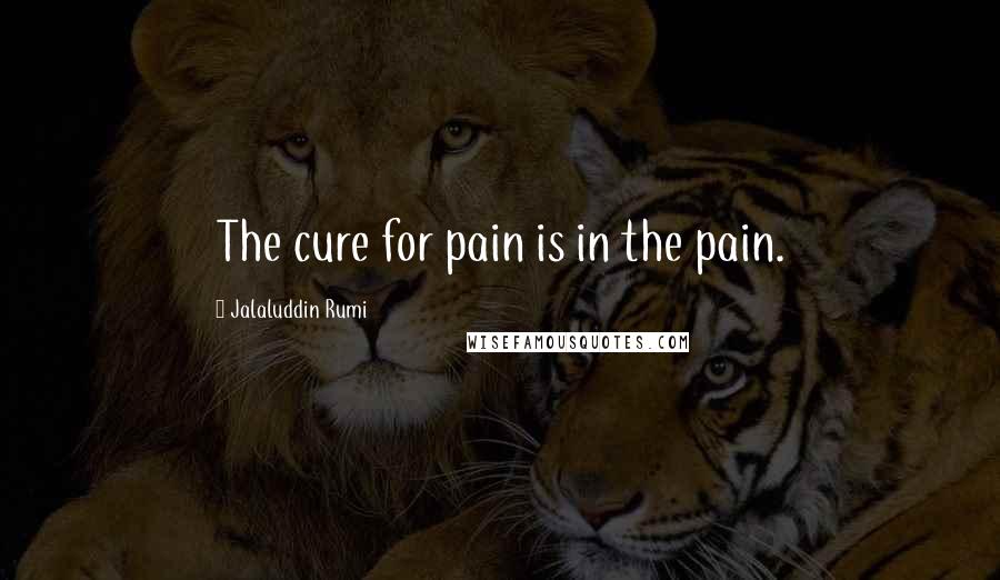 Jalaluddin Rumi Quotes: The cure for pain is in the pain.